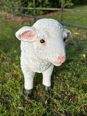 Resin Sheep Ornaments Lamb Ewe Garden Farm Figures Choice Single or Set of 2