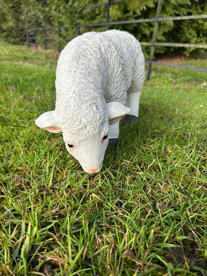 Resin Sheep Ornaments Lamb Ewe Garden Farm Figures Choice Single or Set of 2