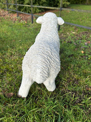 Resin Sheep Ornaments Lamb Ewe Garden Farm Figures Choice Single or Set of 2