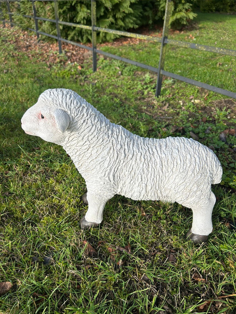Resin Sheep Ornaments Lamb Ewe Garden Farm Figures Choice Single or Set of 2